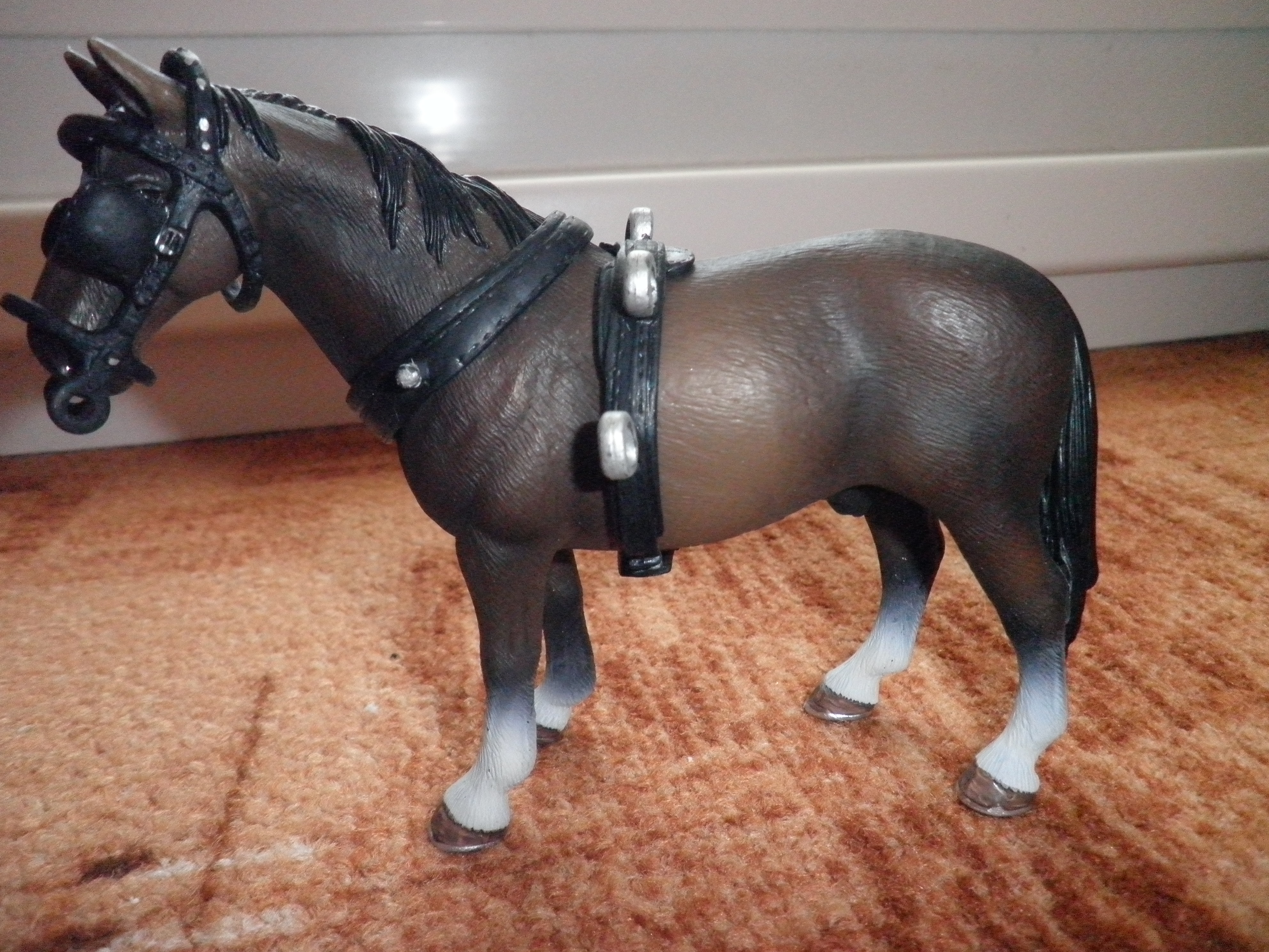 Starshine v zápřahu :)